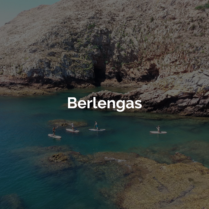 Berlengas-Mobile.png