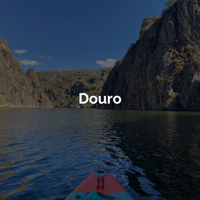 Douro-Mobile.png